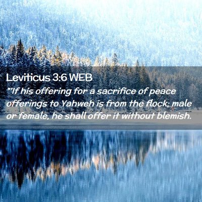 Picture 02 - Leviticus 3:6 WEB - 