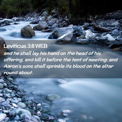 Picture 02 - Leviticus 3:8 WEB - and he shall lay his hand on the head of his - Bible Verse Picture