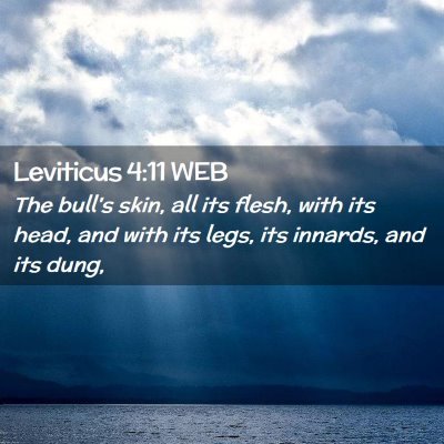 Picture 02 - Leviticus 4:11 WEB - The bull's skin, all its flesh, with its head, - Bible Verse Picture
