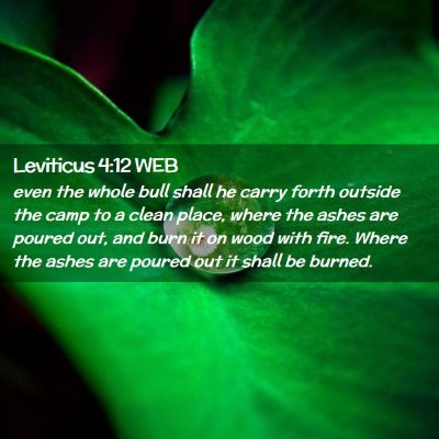 Picture 02 - Leviticus 4:12 WEB - even the whole bull shall he carry forth outside - Bible Verse Picture
