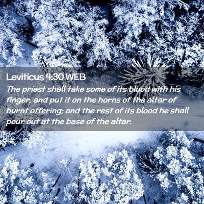 Picture 02 - Leviticus 4:30 WEB - The priest shall take some of its blood with his - Bible Verse Picture