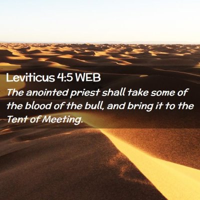 Picture 02 - Leviticus 4:5 WEB - The anointed priest shall take some of the blood - Bible Verse Picture