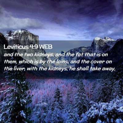 Picture 02 - Leviticus 4:9 WEB - and the two kidneys, and the fat that is on them, - Bible Verse Picture