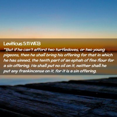 Picture 02 - Leviticus 5:11 WEB - 