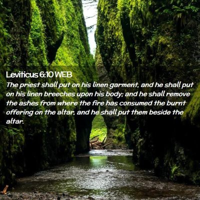 Picture 02 - Leviticus 6:10 WEB - The priest shall put on his linen garment, and he - Bible Verse Picture