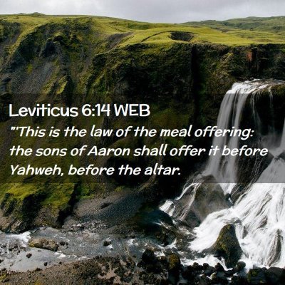 Picture 02 - Leviticus 6:14 WEB - 