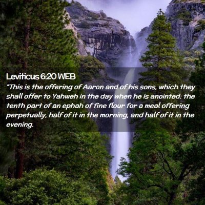 Picture 02 - Leviticus 6:20 WEB - 