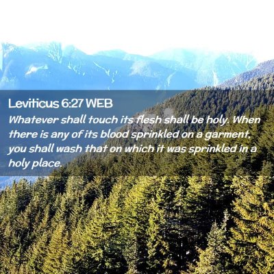 Picture 02 - Leviticus 6:27 WEB - Whatever shall touch its flesh shall be holy. - Bible Verse Picture