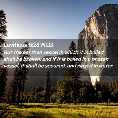 Picture 02 - Leviticus 6:28 WEB - But the earthen vessel in which it is boiled - Bible Verse Picture
