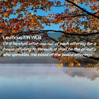 Picture 02 - Leviticus 7:14 WEB - Of it he shall offer one out of each offering for - Bible Verse Picture