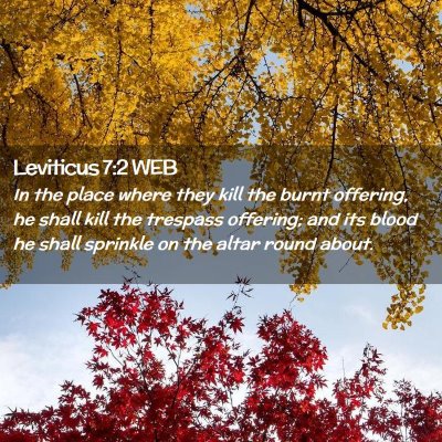 Picture 02 - Leviticus 7:2 WEB - In the place where they kill the burnt offering, - Bible Verse Picture