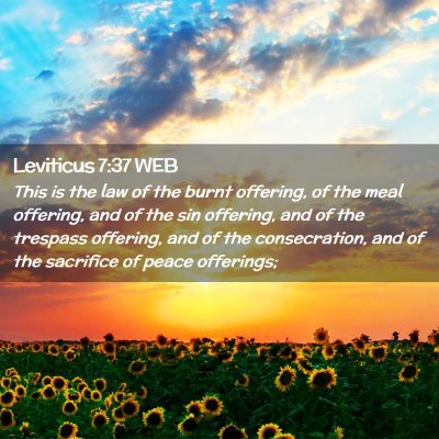 Picture 02 - Leviticus 7:37 WEB - This is the law of the burnt offering, of the - Bible Verse Picture