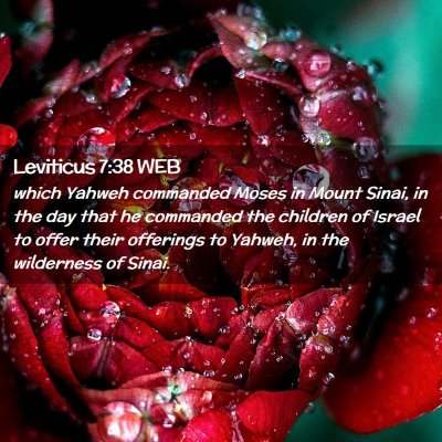 Picture 02 - Leviticus 7:38 WEB - which Yahweh commanded Moses in Mount Sinai, in - Bible Verse Picture