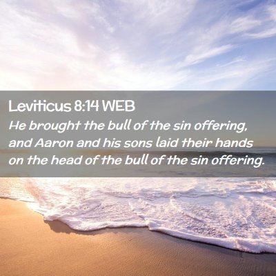 Picture 02 - Leviticus 8:14 WEB - He brought the bull of the sin offering, and - Bible Verse Picture
