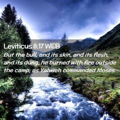 Picture 02 - Leviticus 8:17 WEB - But the bull, and its skin, and its flesh, and - Bible Verse Picture