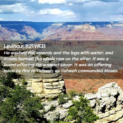 Picture 02 - Leviticus 8:21 WEB - He washed the innards and the legs with water; - Bible Verse Picture