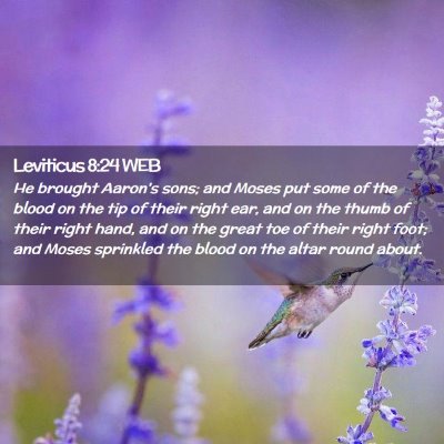 Picture 02 - Leviticus 8:24 WEB - He brought Aaron's sons; and Moses put some of - Bible Verse Picture