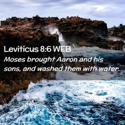 Picture 02 - Leviticus 8:6 WEB - Moses brought Aaron and his sons, and washed them - Bible Verse Picture