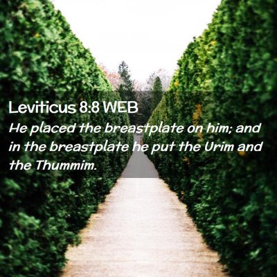 Picture 02 - Leviticus 8:8 WEB - He placed the breastplate on him; and in the - Bible Verse Picture