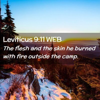 Picture 02 - Leviticus 9:11 WEB - The flesh and the skin he burned with fire - Bible Verse Picture