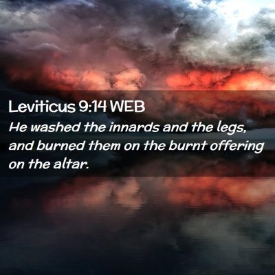 Picture 02 - Leviticus 9:14 WEB - He washed the innards and the legs, and burned - Bible Verse Picture