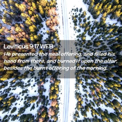 Picture 02 - Leviticus 9:17 WEB - He presented the meal offering, and filled his - Bible Verse Picture