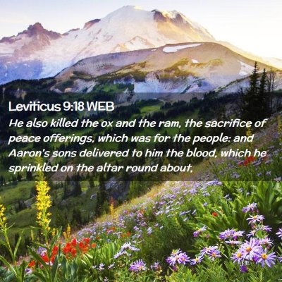 Picture 02 - Leviticus 9:18 WEB - He also killed the ox and the ram, the sacrifice - Bible Verse Picture