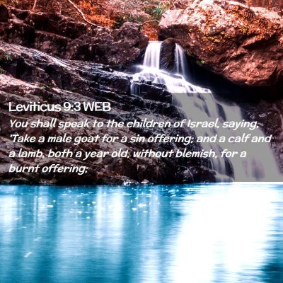 Picture 02 - Leviticus 9:3 WEB - You shall speak to the children of Israel, - Bible Verse Picture