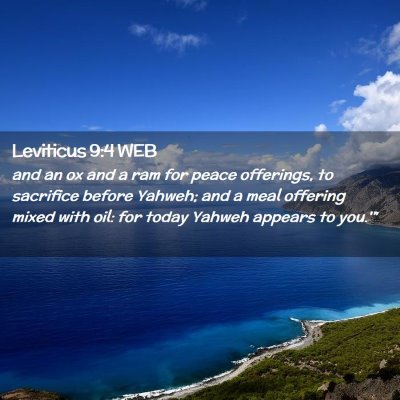 Picture 02 - Leviticus 9:4 WEB - and an ox and a ram for peace offerings, to - Bible Verse Picture