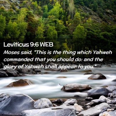 Picture 02 - Leviticus 9:6 WEB - Moses said, 