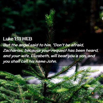 Picture 02 - Luke 1:13 WEB - But the angel said to him, 