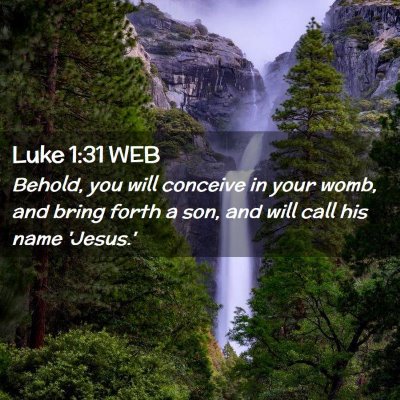 Picture 02 - Luke 1:31 WEB - Behold, you will conceive in your womb, and bring - Bible Verse Picture