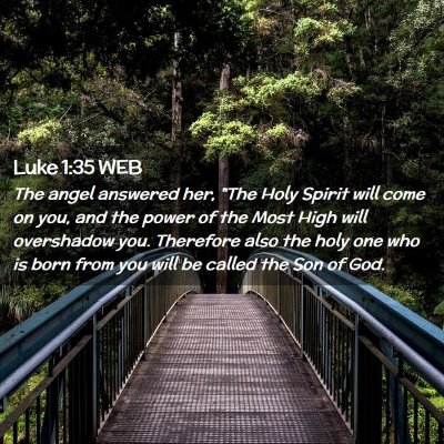 Picture 02 - Luke 1:35 WEB - The angel answered her, 
