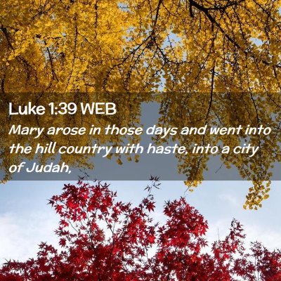Picture 02 - Luke 1:39 WEB - Mary arose in those days and went into the hill - Bible Verse Picture