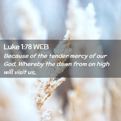 Picture 02 - Luke 1:78 WEB - Because of the tender mercy of our God, Whereby - Bible Verse Picture