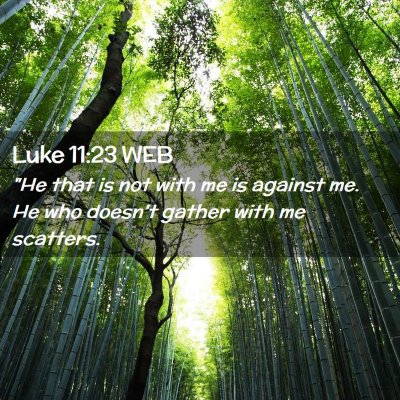 Picture 02 - Luke 11:23 WEB - 
