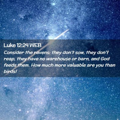 Picture 02 - Luke 12:24 WEB - Consider the ravens: they don't sow, they don't - Bible Verse Picture