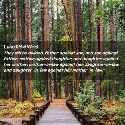 Picture 02 - Luke 12:53 WEB - They will be divided, father against son, and son - Bible Verse Picture