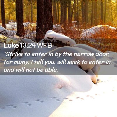 Picture 02 - Luke 13:24 WEB - 