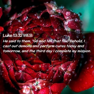 Picture 02 - Luke 13:32 WEB - He said to them, 