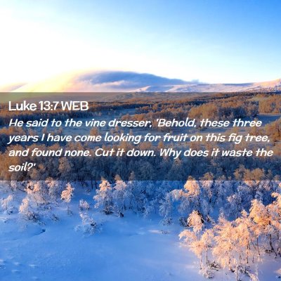 Picture 02 - Luke 13:7 WEB - He said to the vine dresser, 'Behold, these three - Bible Verse Picture