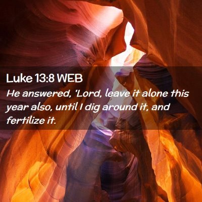 Picture 02 - Luke 13:8 WEB - He answered, 'Lord, leave it alone this year - Bible Verse Picture