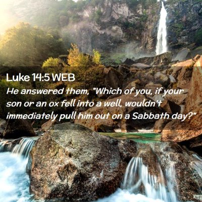 Picture 02 - Luke 14:5 WEB - He answered them, 