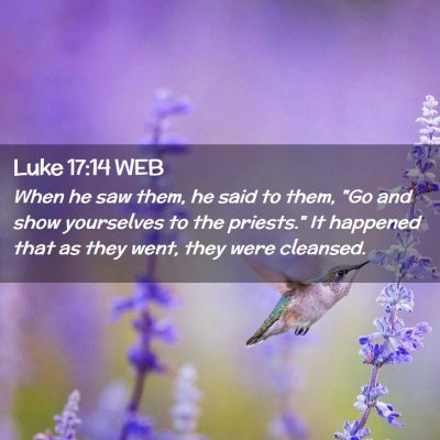 Picture 02 - Luke 17:14 WEB - When he saw them, he said to them, 