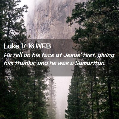 Picture 02 - Luke 17:16 WEB - He fell on his face at Jesus' feet, giving him - Bible Verse Picture