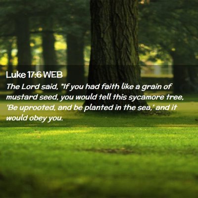 Picture 02 - Luke 17:6 WEB - The Lord said, 