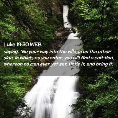 Picture 02 - Luke 19:30 WEB - saying, 