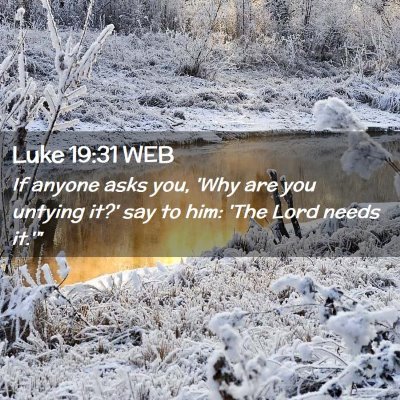 Picture 02 - Luke 19:31 WEB - If anyone asks you, 'Why are you untying it?' say - Bible Verse Picture