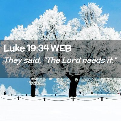 Picture 02 - Luke 19:34 WEB - They said, 