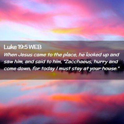 Picture 02 - Luke 19:5 WEB - When Jesus came to the place, he looked up and - Bible Verse Picture